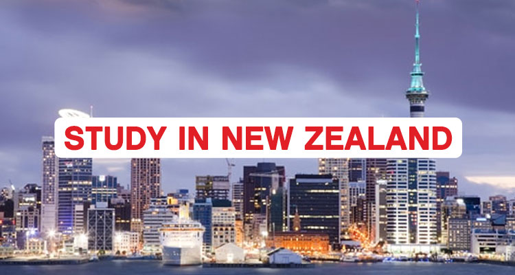 Why Is New Zealand Considered As The Best Country To Study?